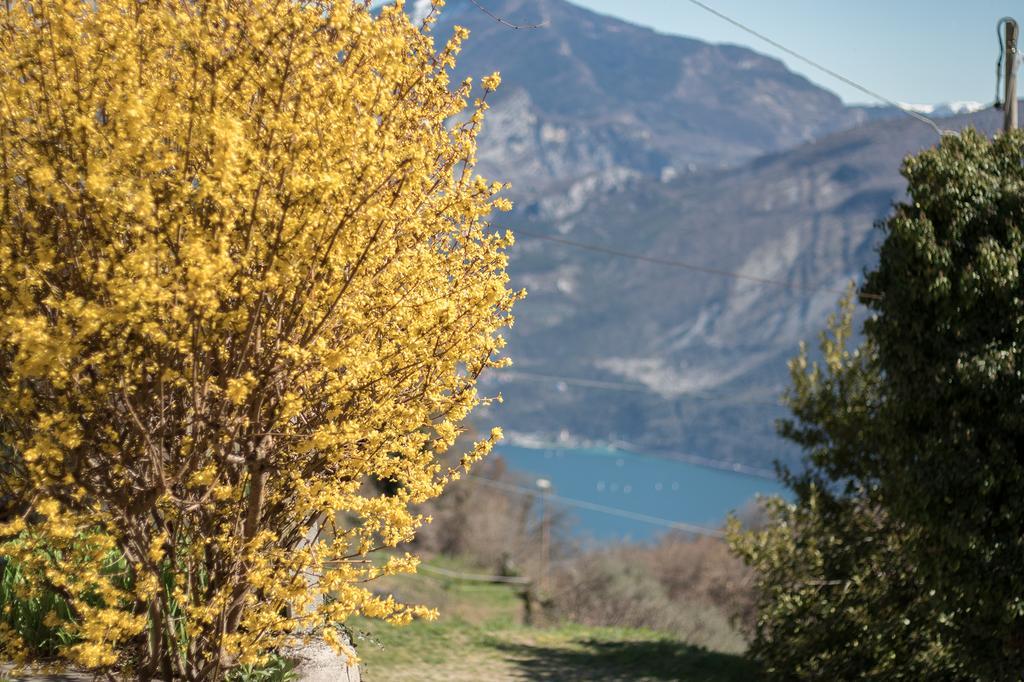 B&B Pregasina