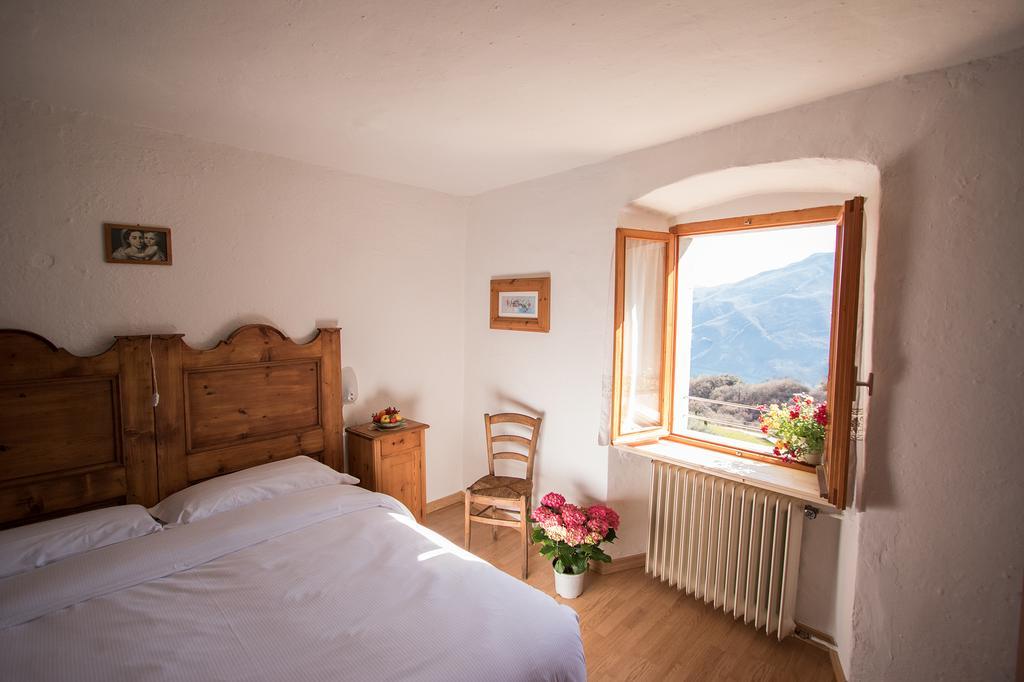 B&B Pregasina *