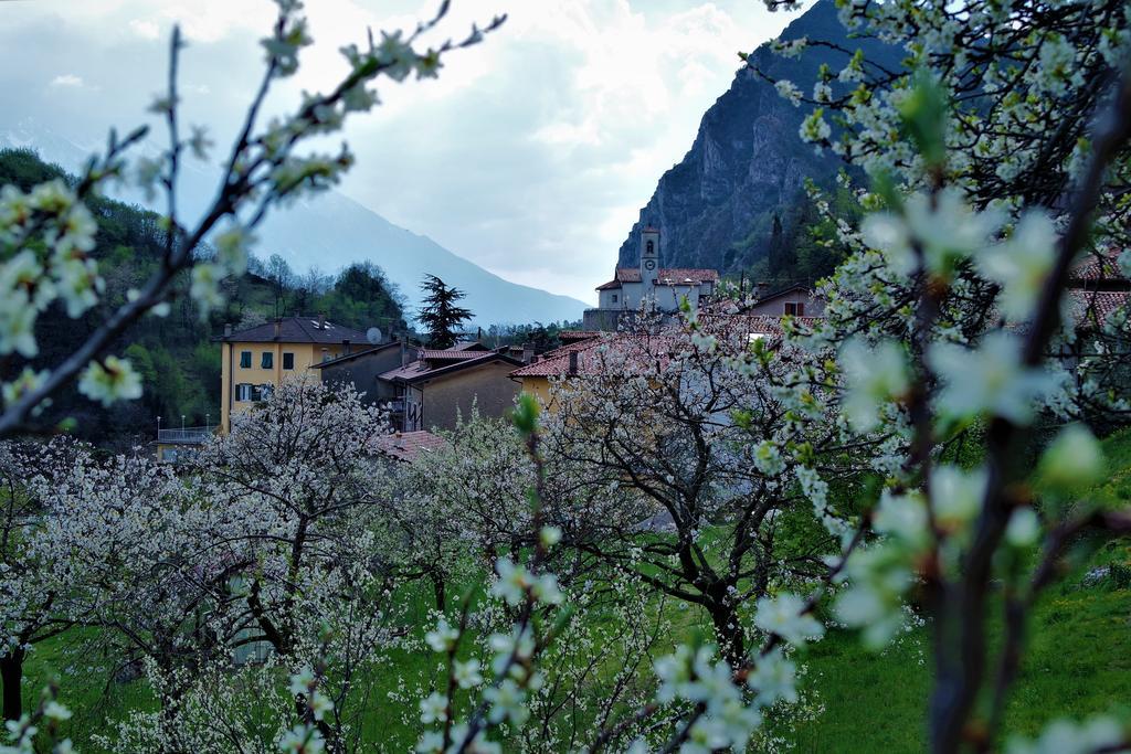 B&B Pregasina